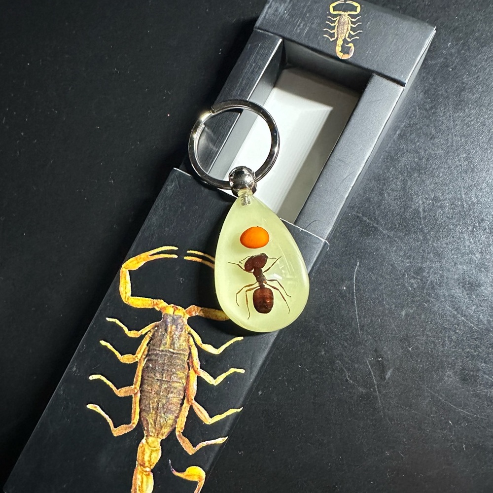 Glow in the dark insect keychain in packaging
